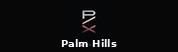 Palm Hills PX